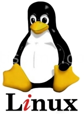 Linux crescita costante del 17%